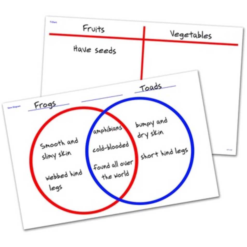 Write &amp; Wipe Venn Diagram/T- Charts 