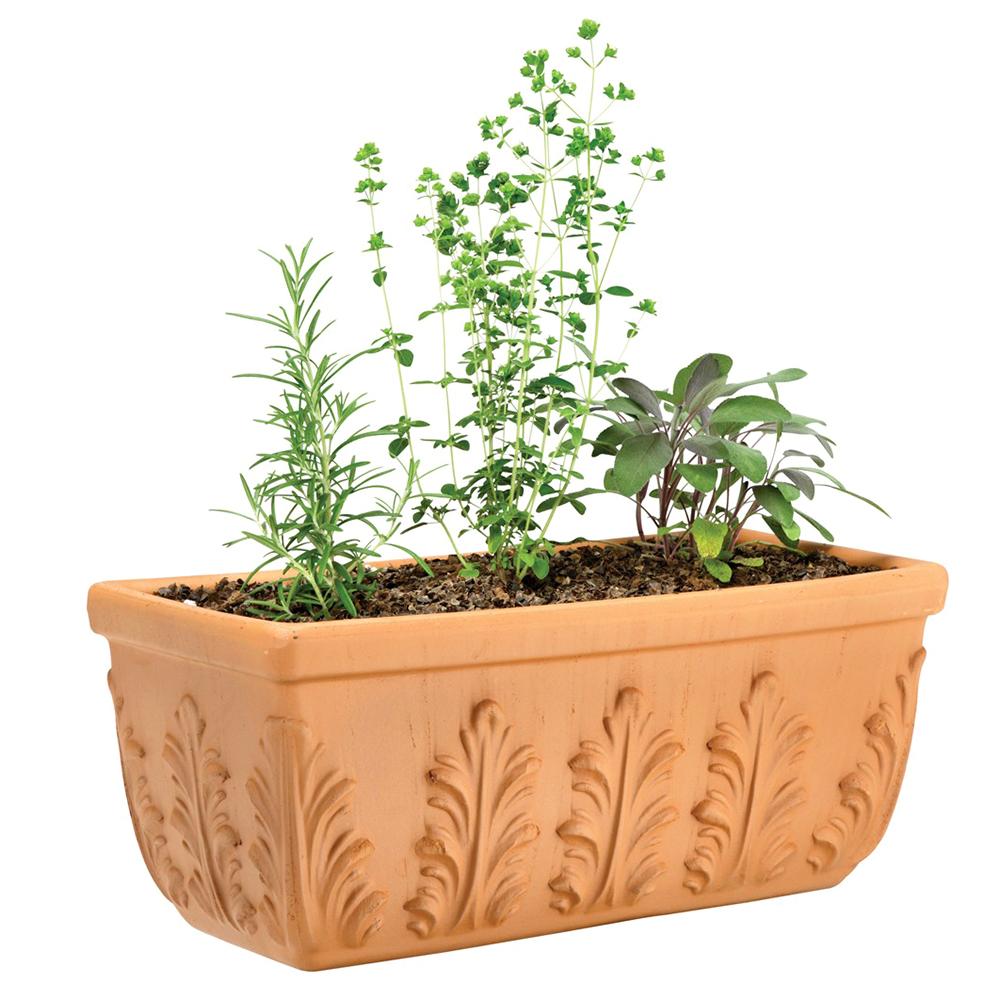 Terra Cotta Floral Window Box 18in 