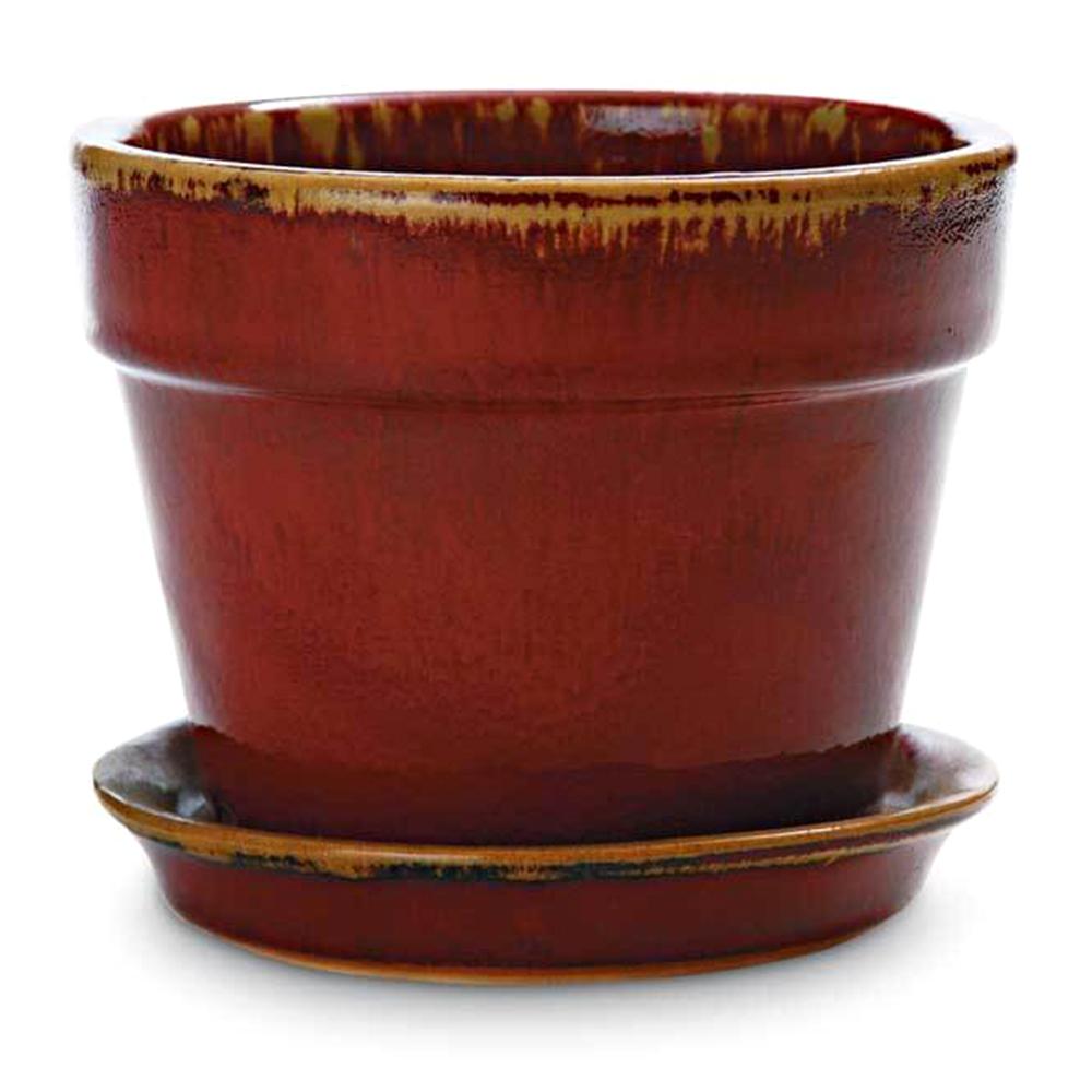 Reaction Fern / Azalea Pot Oxblood 5.75in 