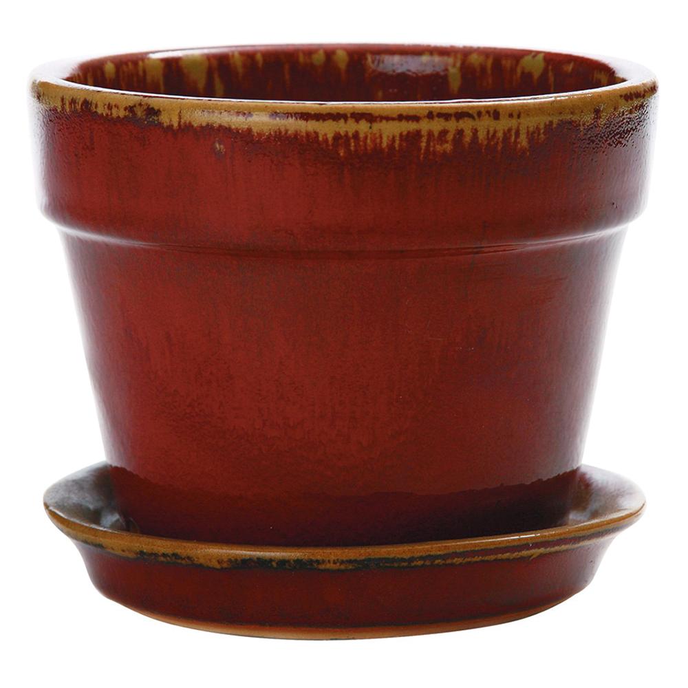 Reaction Fern / Azalea Pot Oxblood 7.25in 