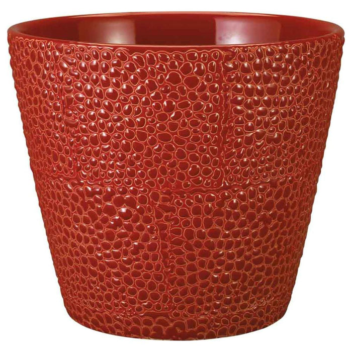 Crocodile Flair Pot Red Hot 6in 