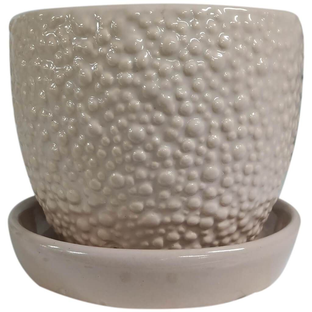 Nep Bubble Cup Pot Pale Gray 5in