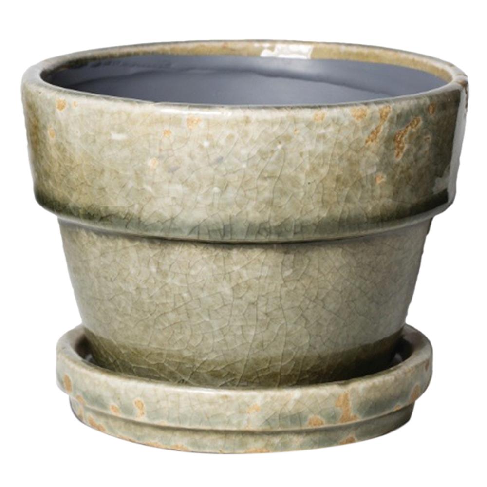 Caspian Fern / Azalea Antique Grey 5.5in 