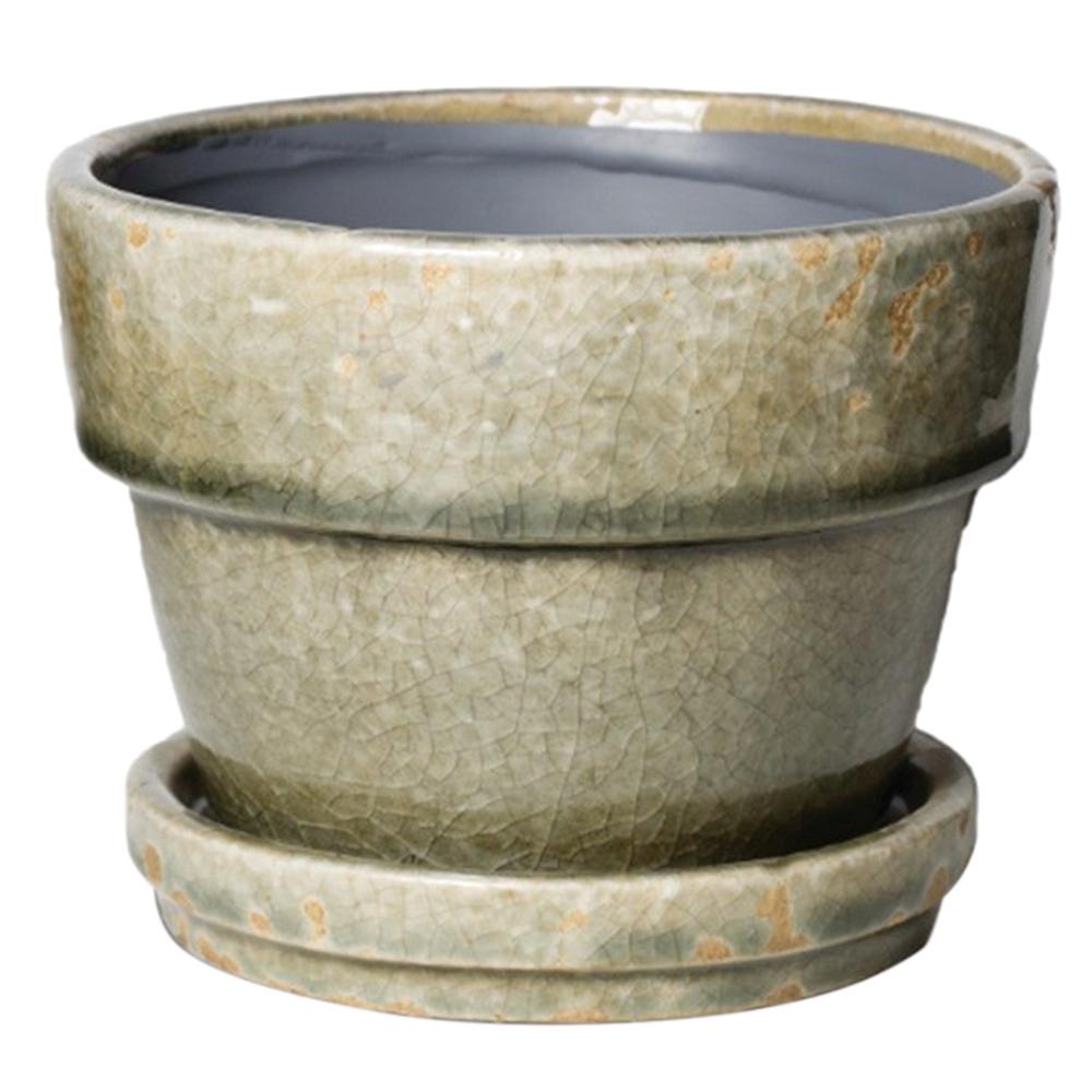 Caspian Fern / Azalea Antique Grey 7.5in 