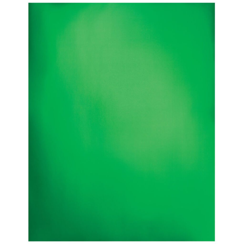 Poster Board Metallic 22in x 28in Green