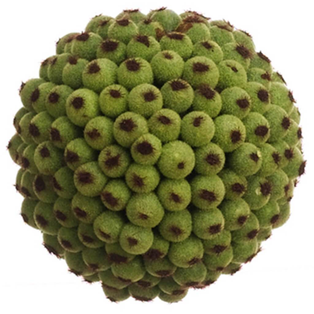 Seed Orb 3in Green 