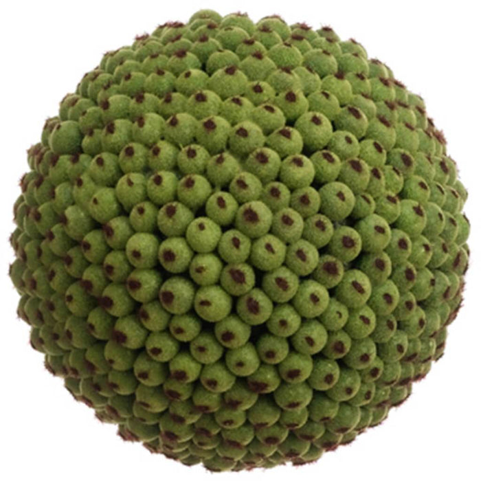 4in SEED ORB GR 