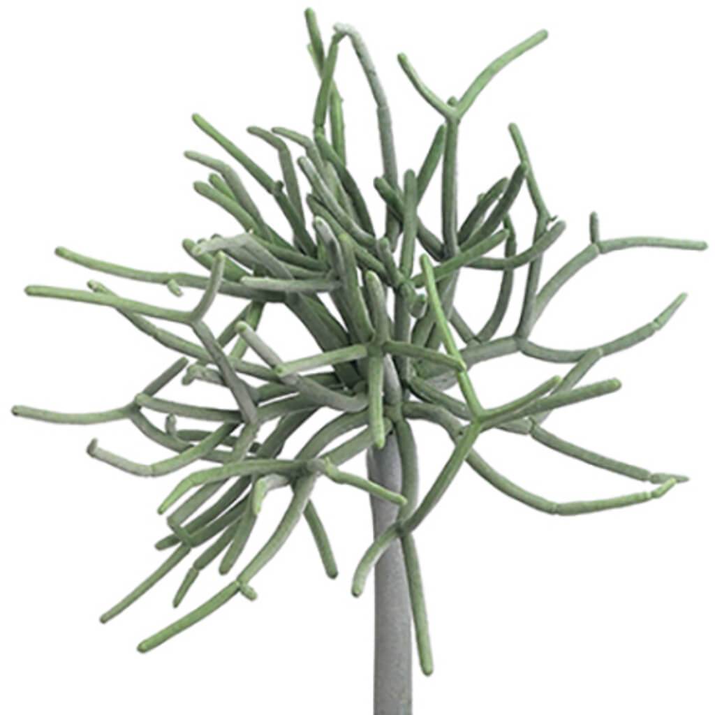 8in PENCIL CACTUS PICK 