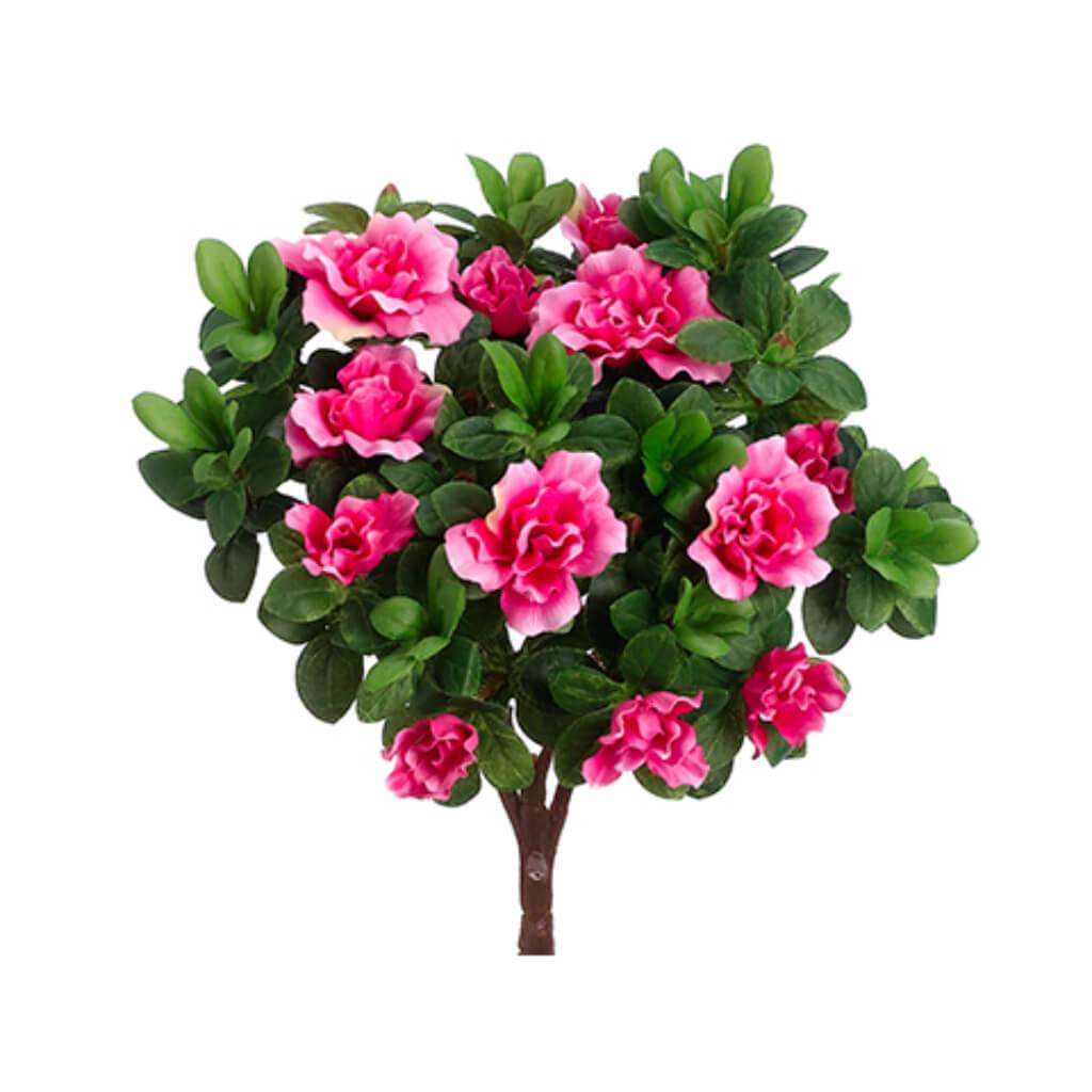 12&quot;AZALEA BUSH X6 CE 