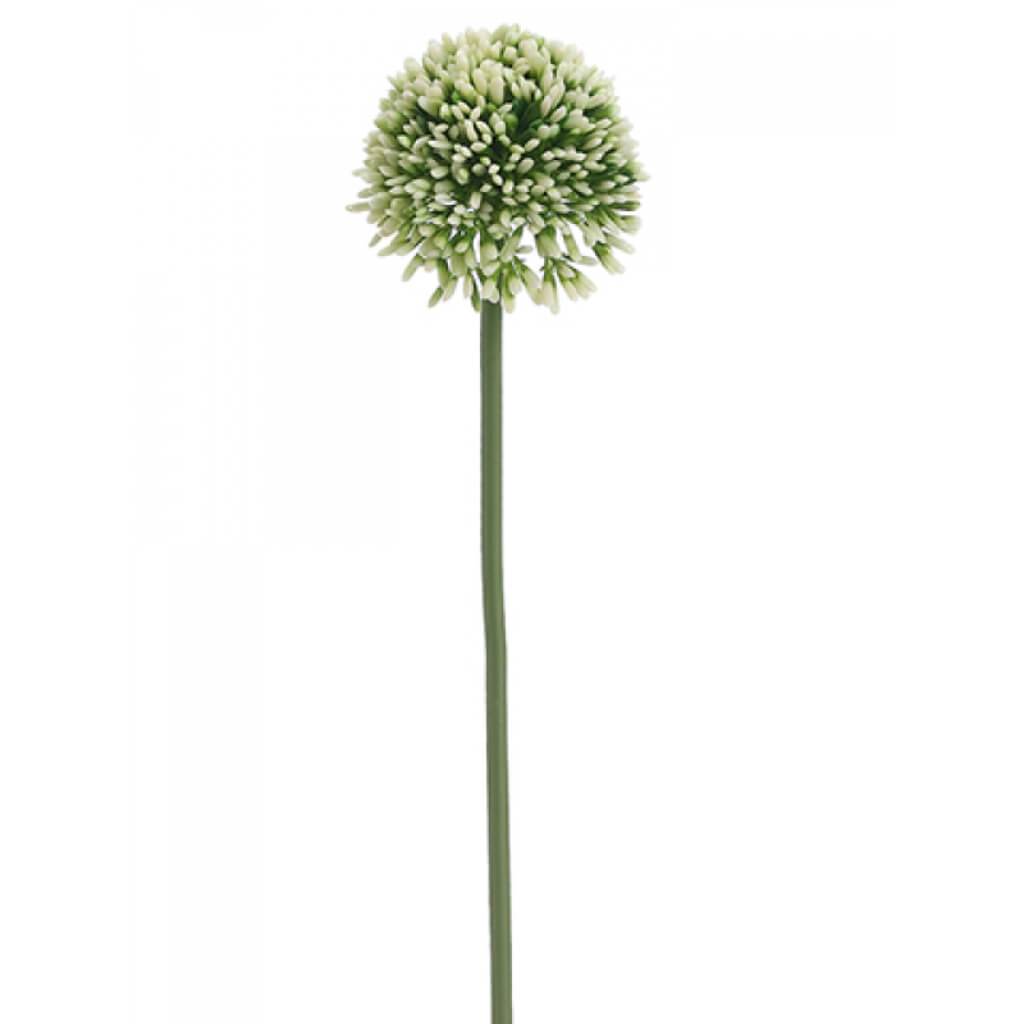 17.5&quot;ALLIUM SPRAY CR/GR 