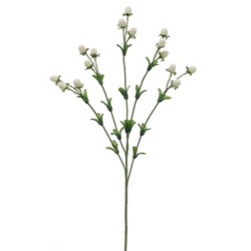 24"CURRANT SPRAY IV 