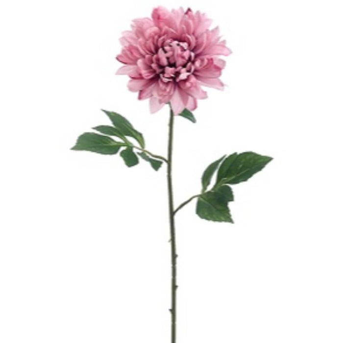 27"DAHLIA SPARY PK 