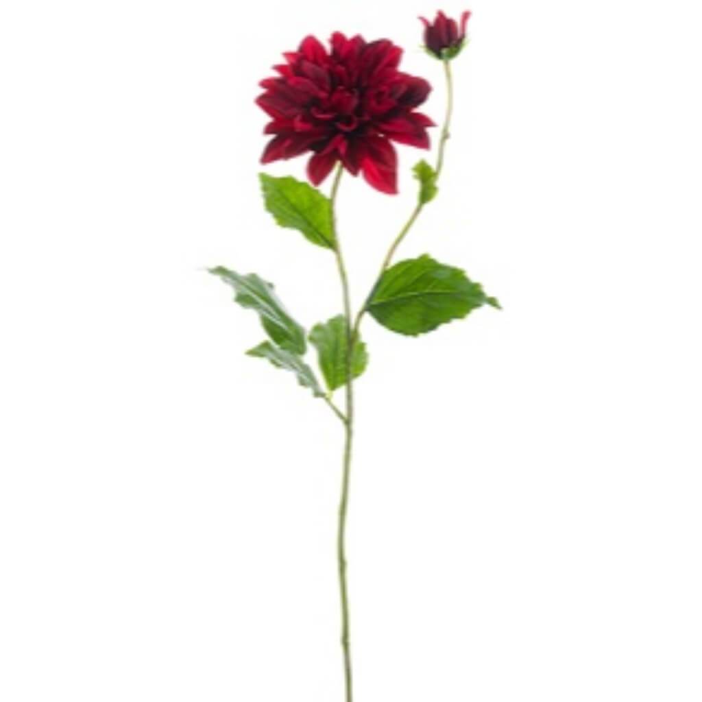 25&quot;DAHLIA SPRAY BU 