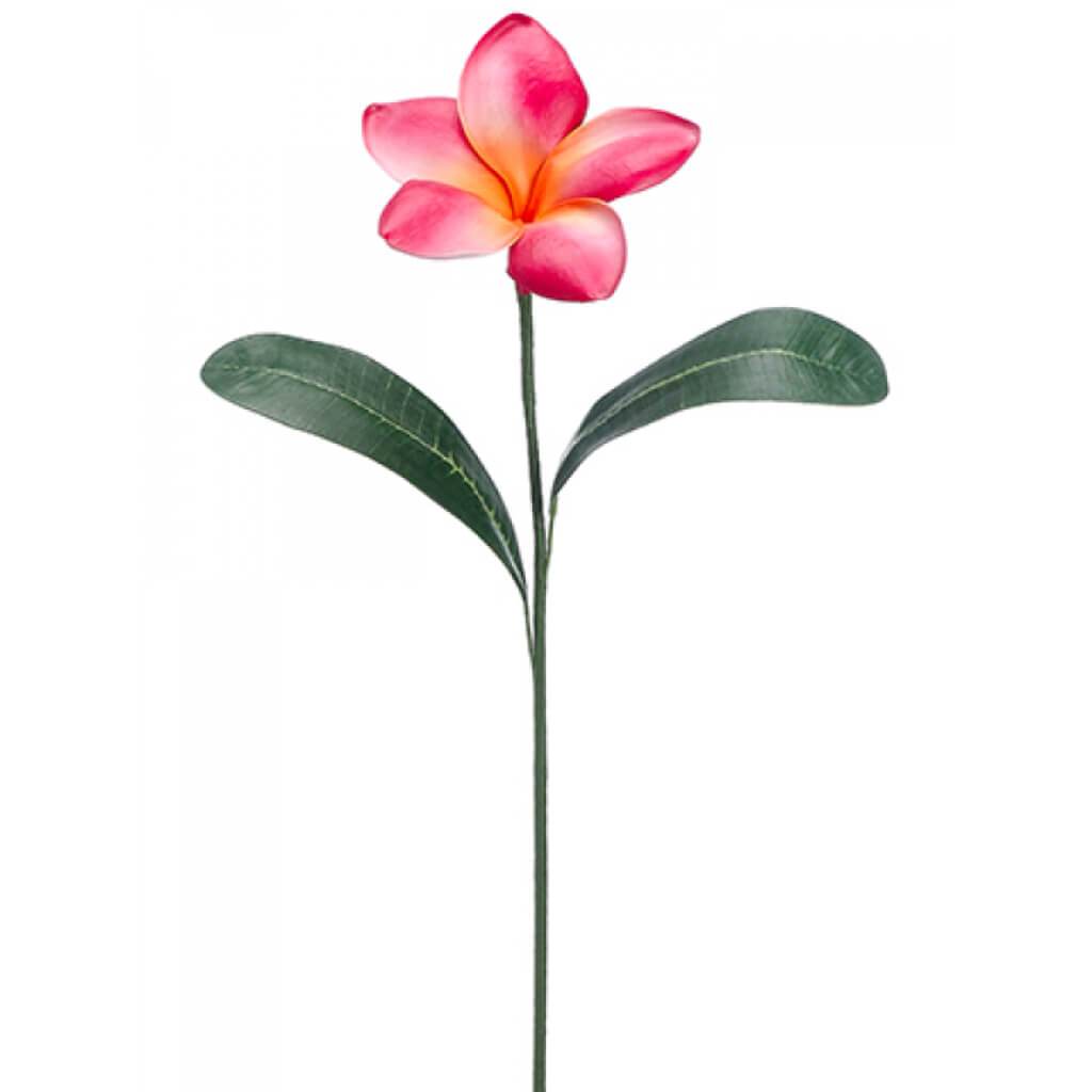 Plumeria Spray 30in 