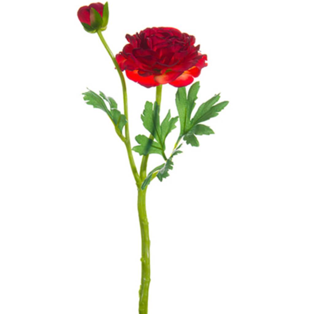 Ranunculus Spray 14in Tone Red 