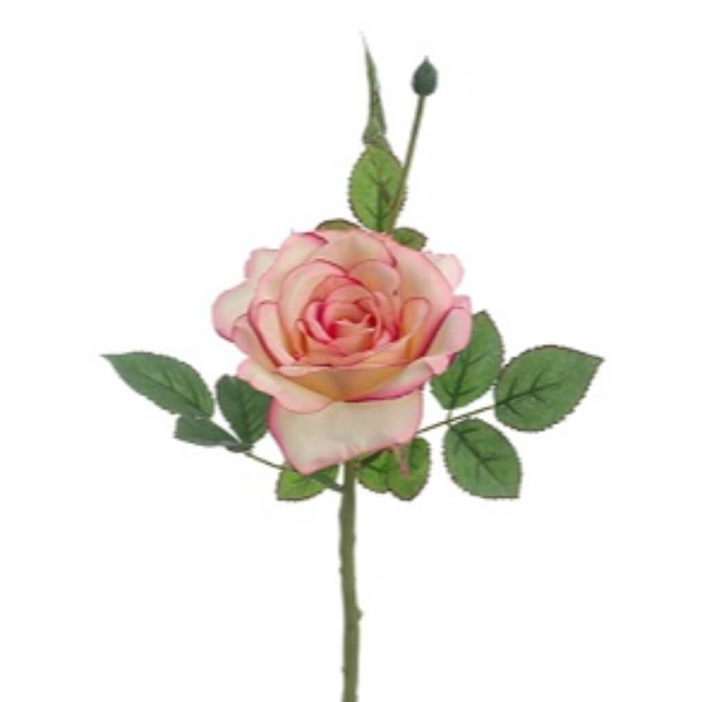 Open Rose Spray 15.5&quot; White Bud Cream 