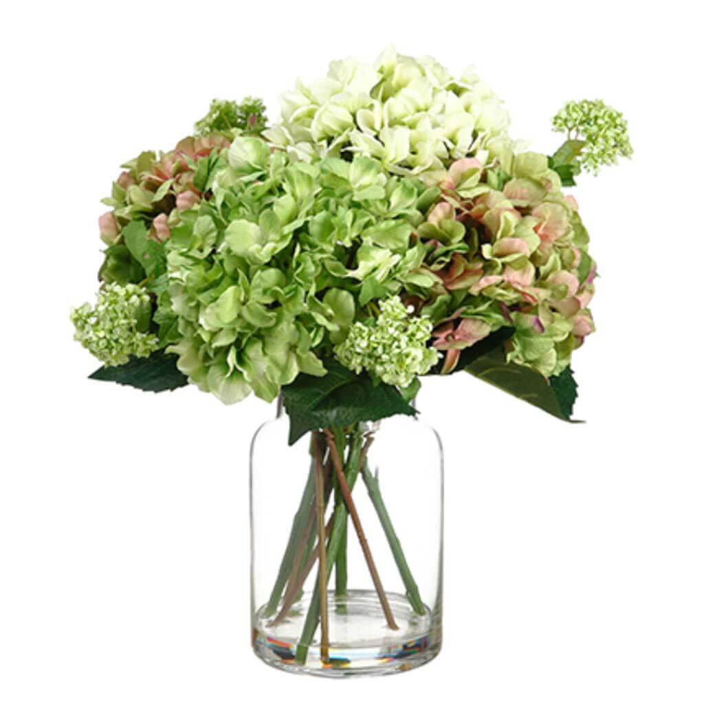 Hydrangea/Snowball In Glass Vase, 19in