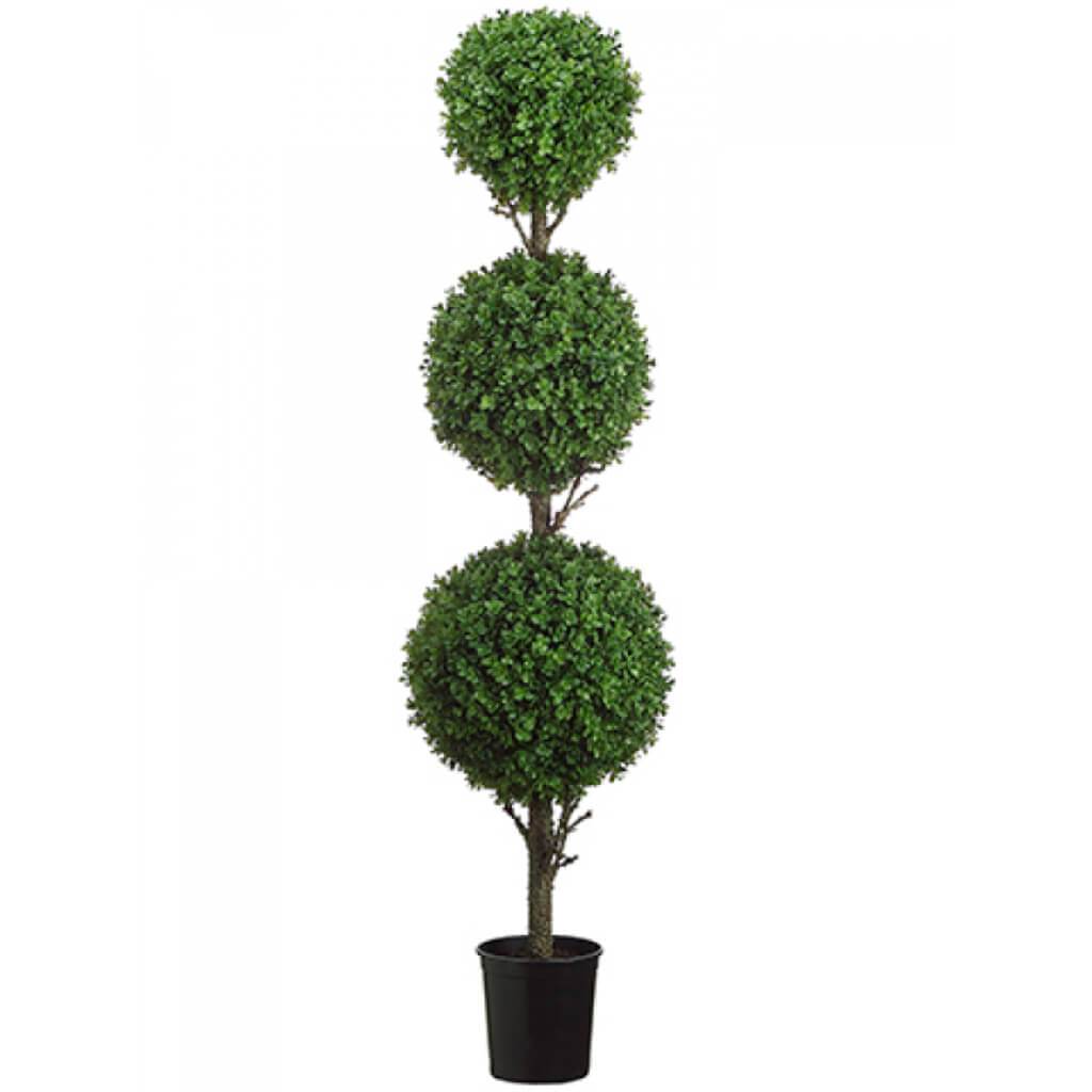 4.5ft TRI BALL BOXWOOD TOPI.(P) 