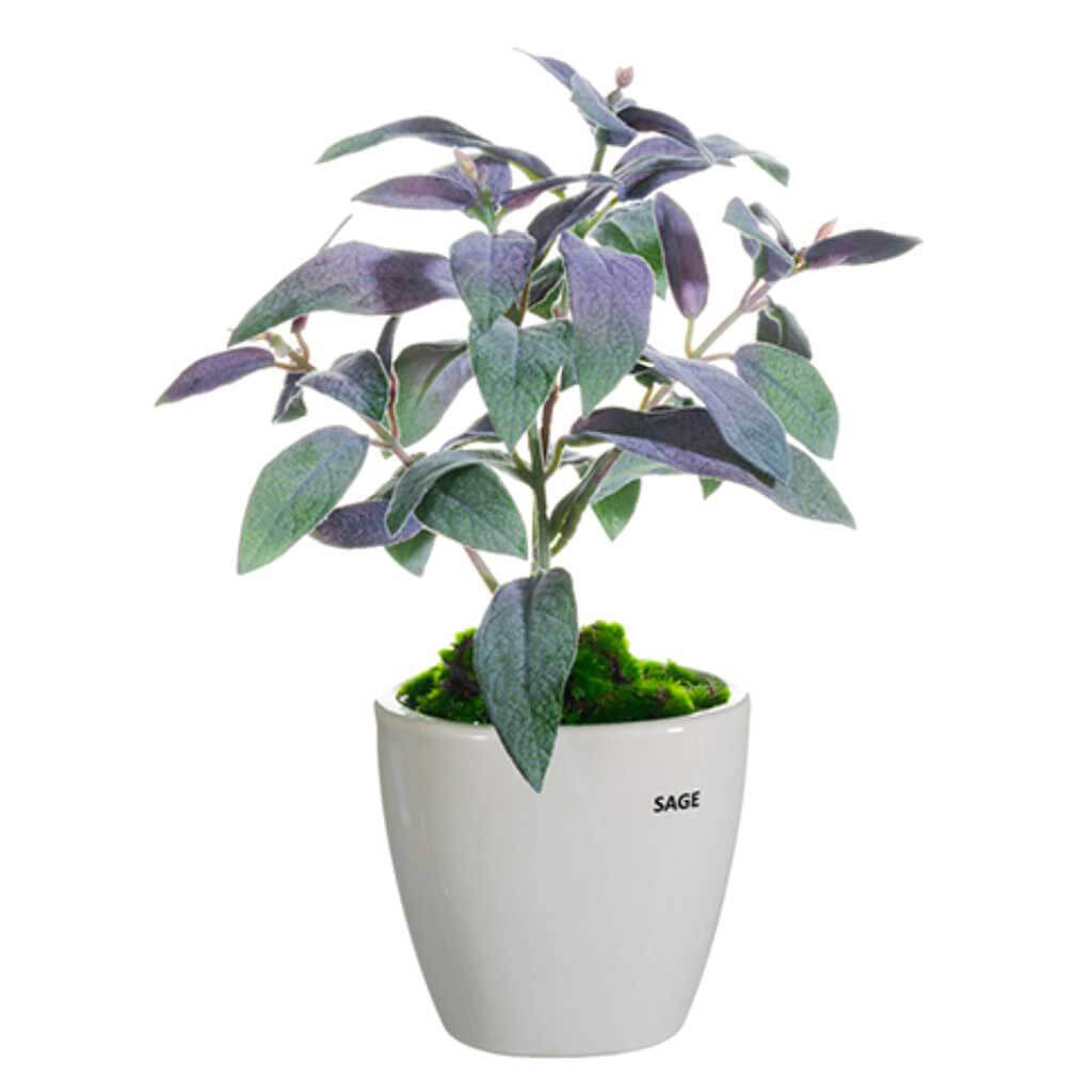 Sage In Ceramic Vase Green/Purple, 11in