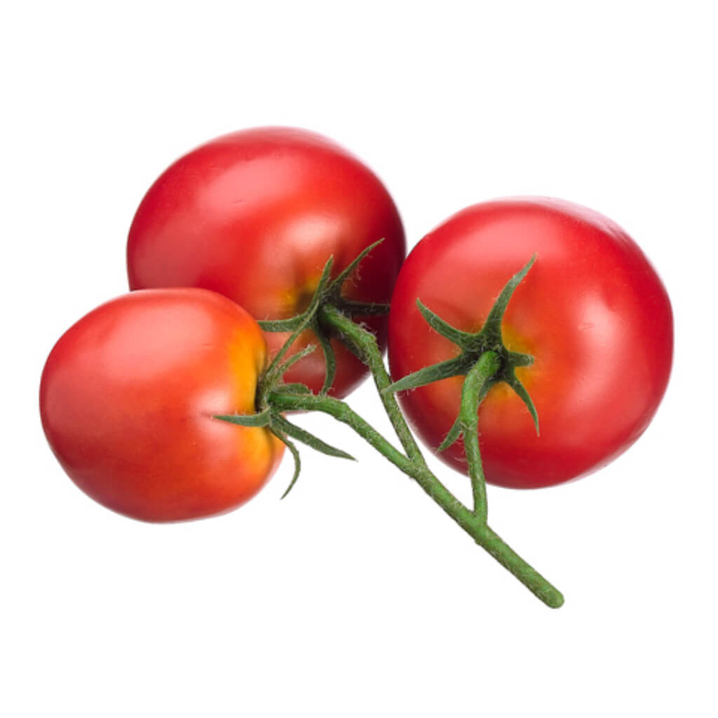 Tomato x3 Red 5in