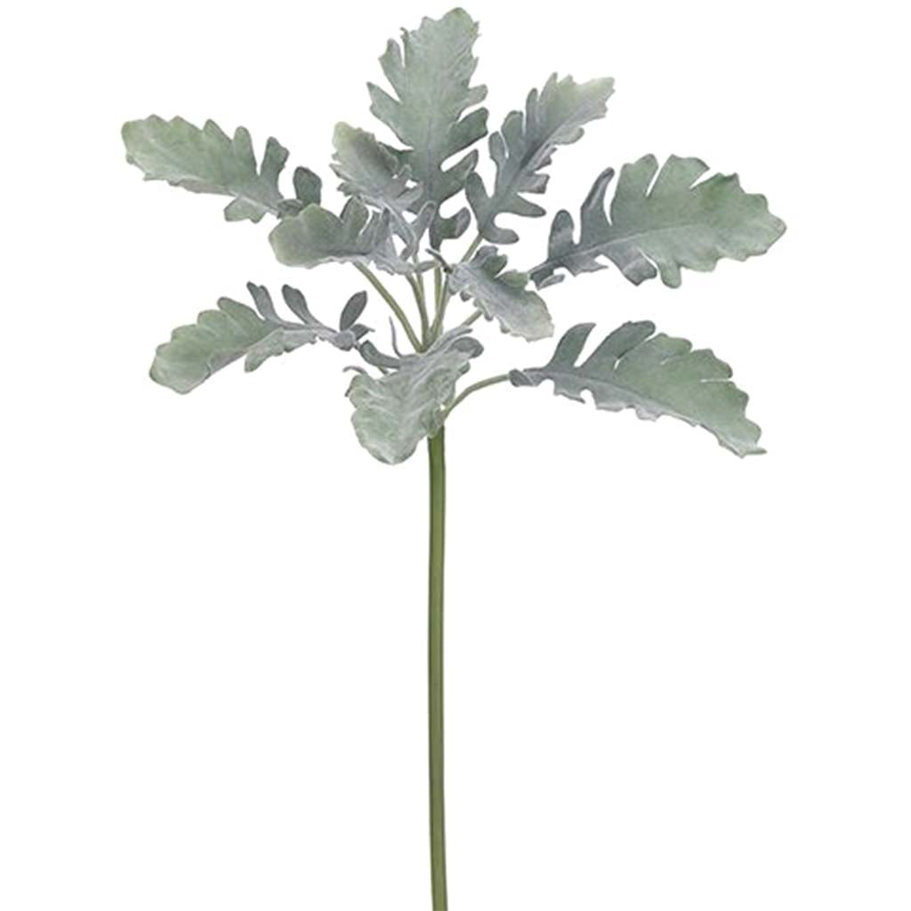 Dusty Miller Spray Green Gray 13in