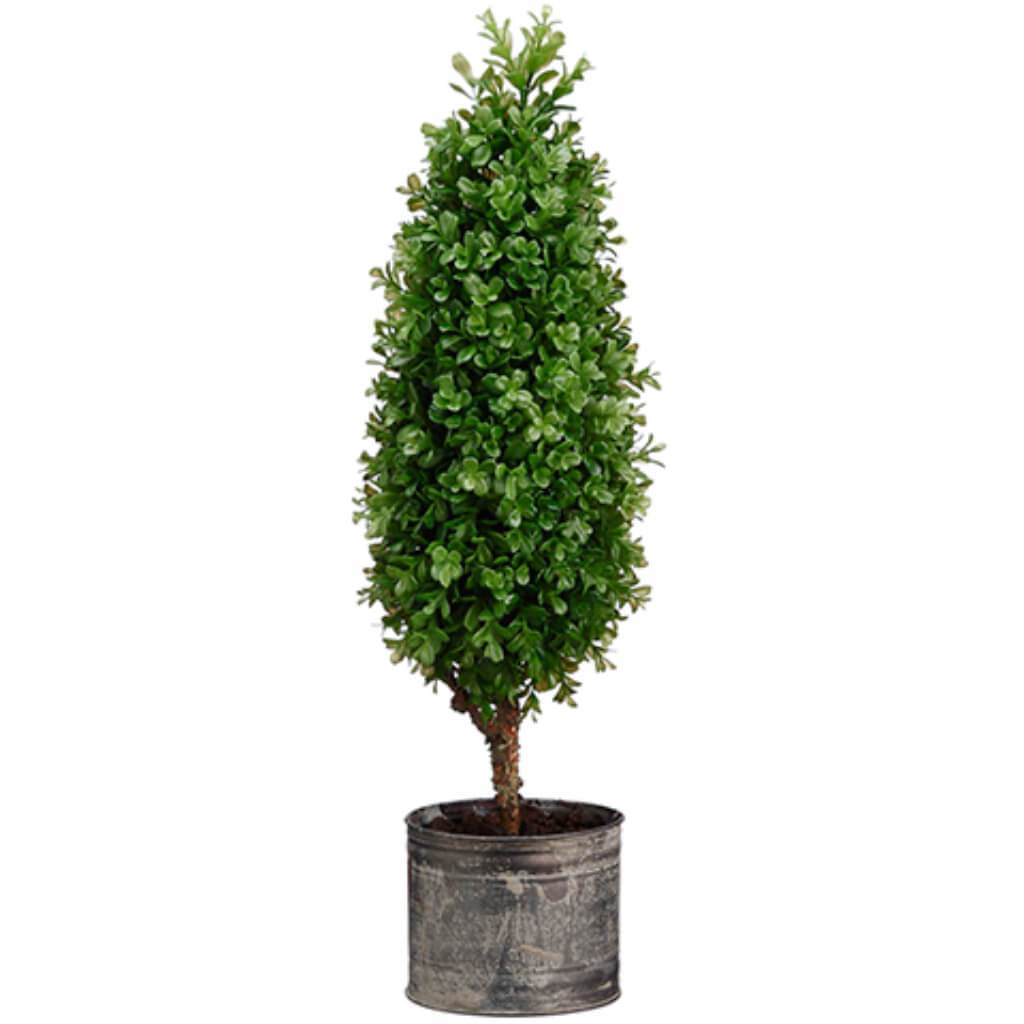 BOXWOOD TOPIARY IN TIN POT 27IN