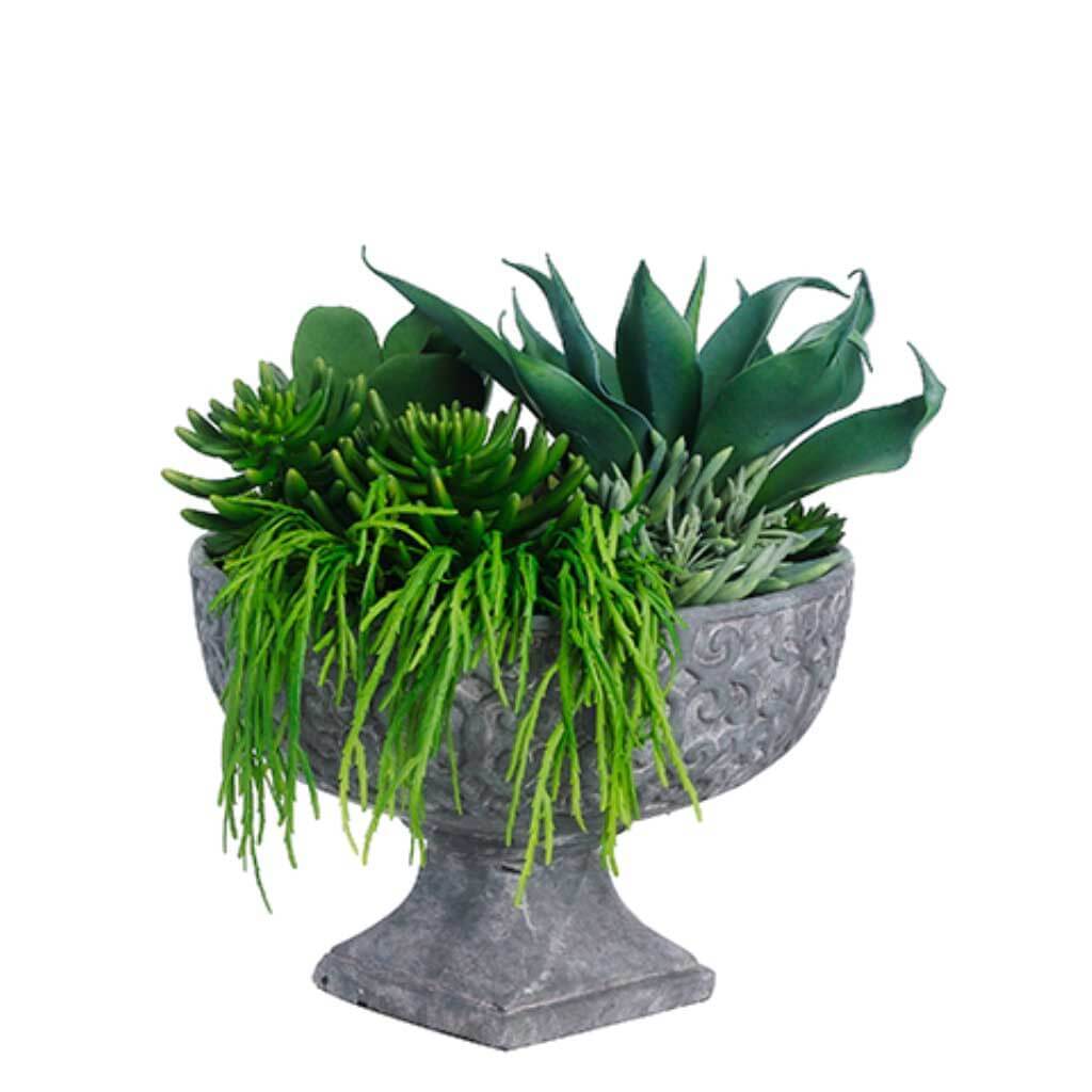 Succulent In Fiber Cement Bowl 21in x 21in x21in