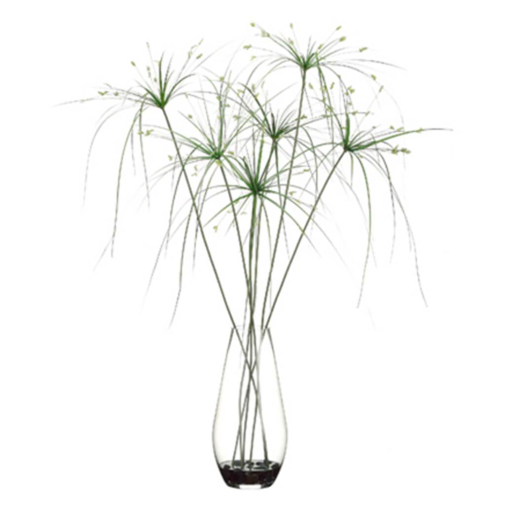 40inH x 33inW x 33inL PAPYRUS GRASS GR 