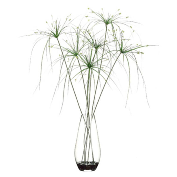 40inH x 33inW x 33inL PAPYRUS GRASS GR 