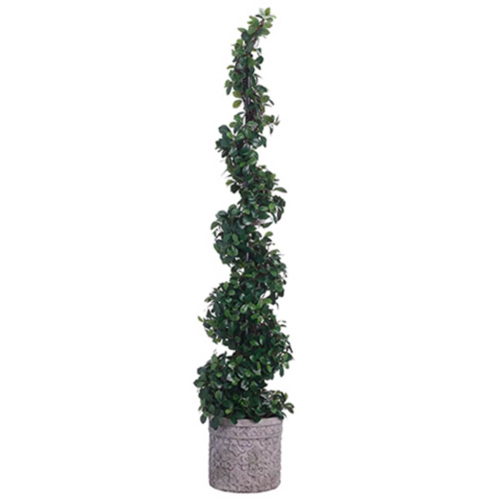 66in Citrus Leaf Spiral Topiary in Terra Cotta Planter Green 