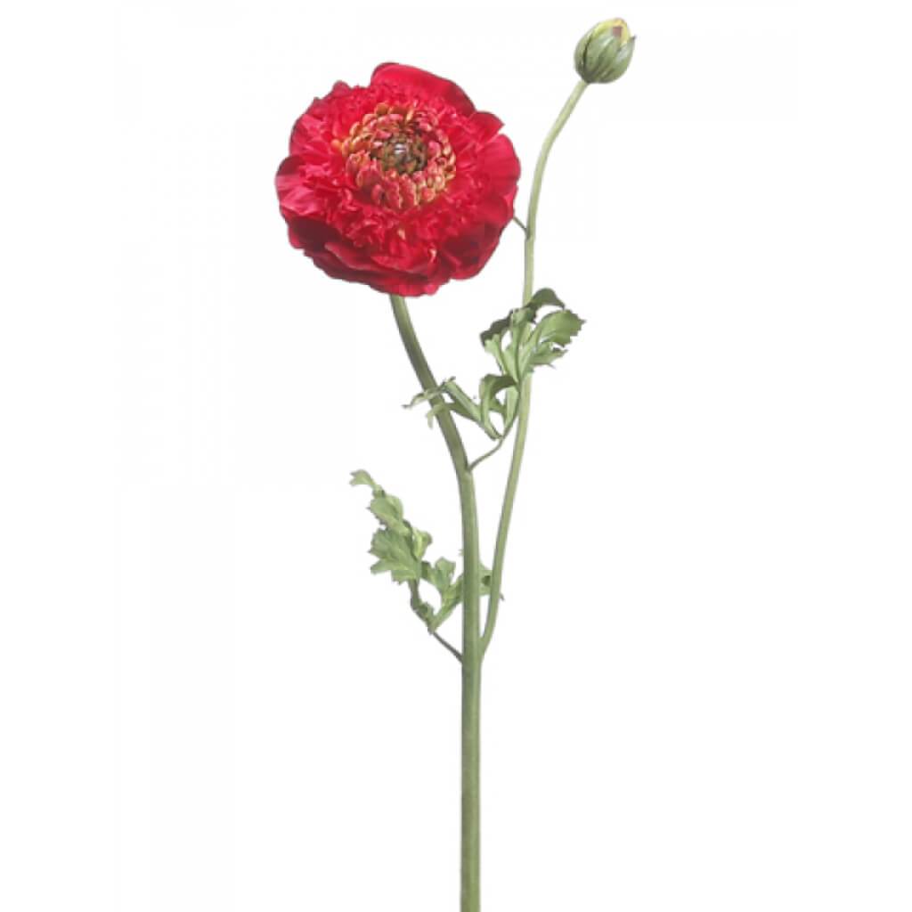 Ranunculus Spray Red 21in 