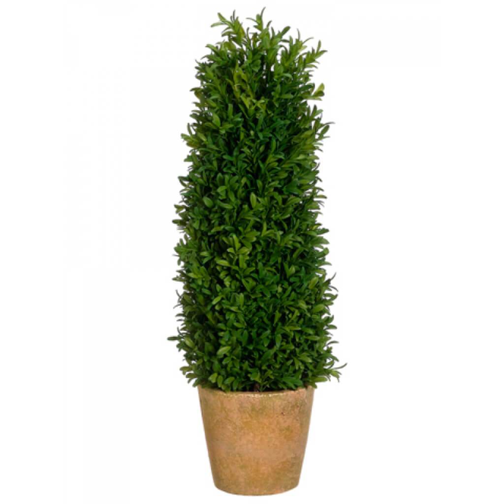 24in TEA LEAF CON/TOPIARY(P) GREEN 