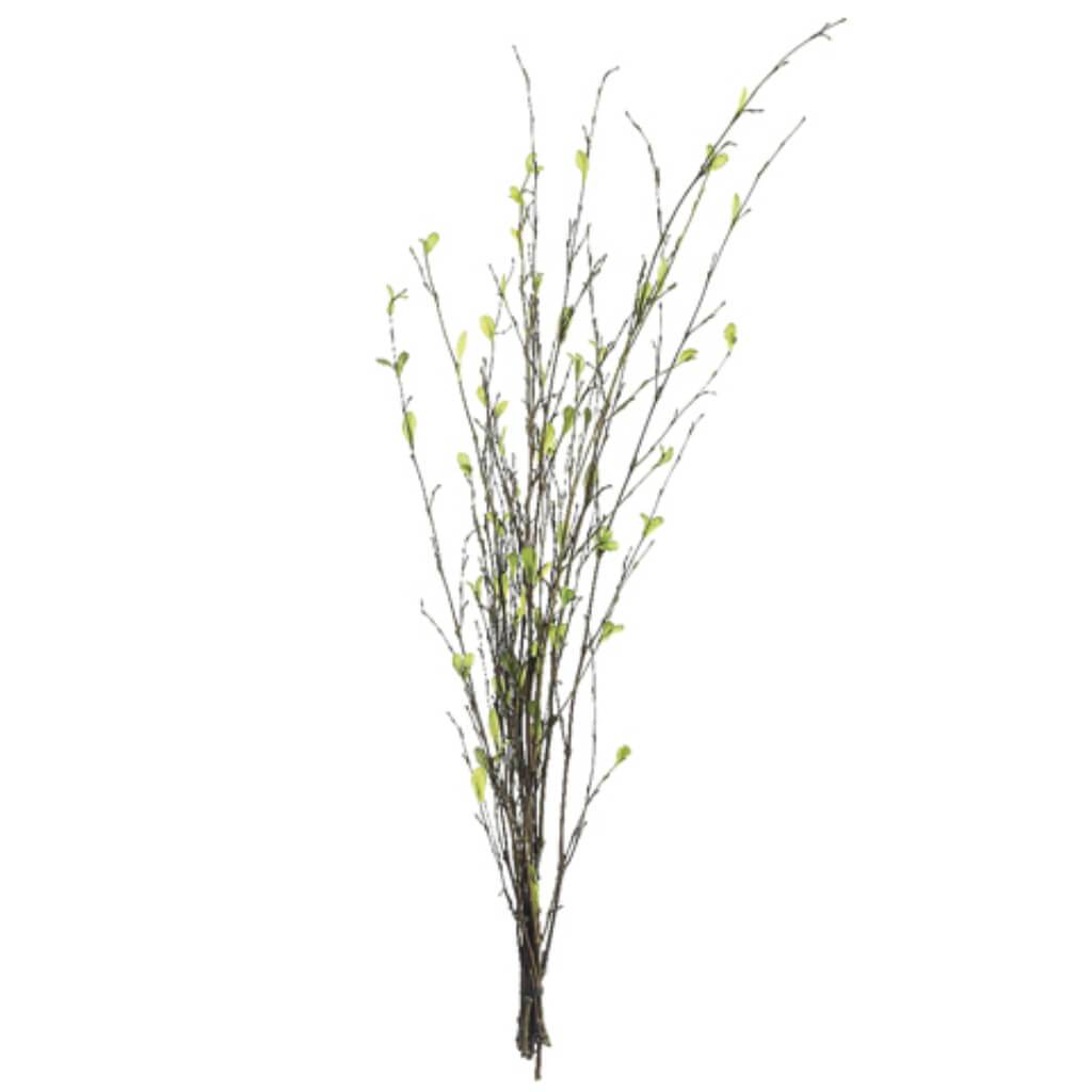 Bamboo Branch 26in x8 Green 