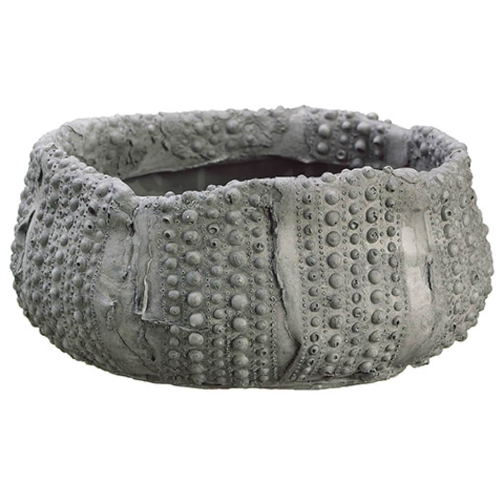 Clay Pot