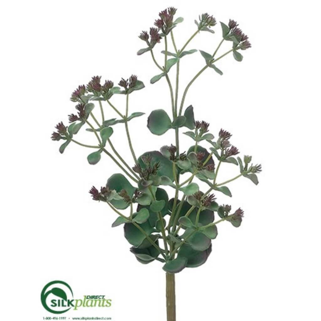 Flowering Kalanchoe Pick 15in 