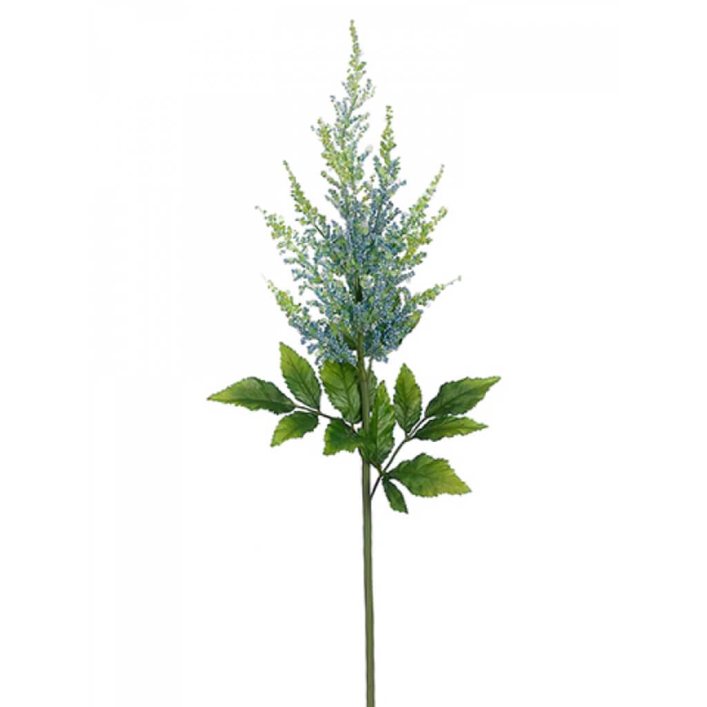 Astilbe Spray Bl/Lt 31&quot; 