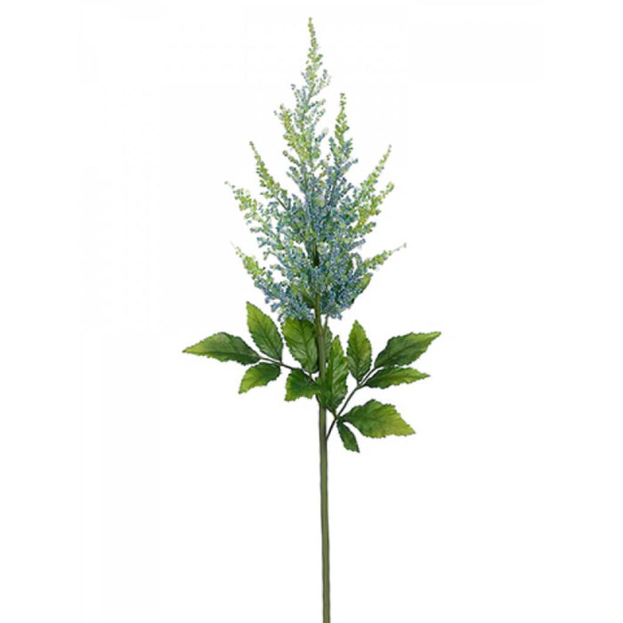 Astilbe Spray Bl/Lt 31" 