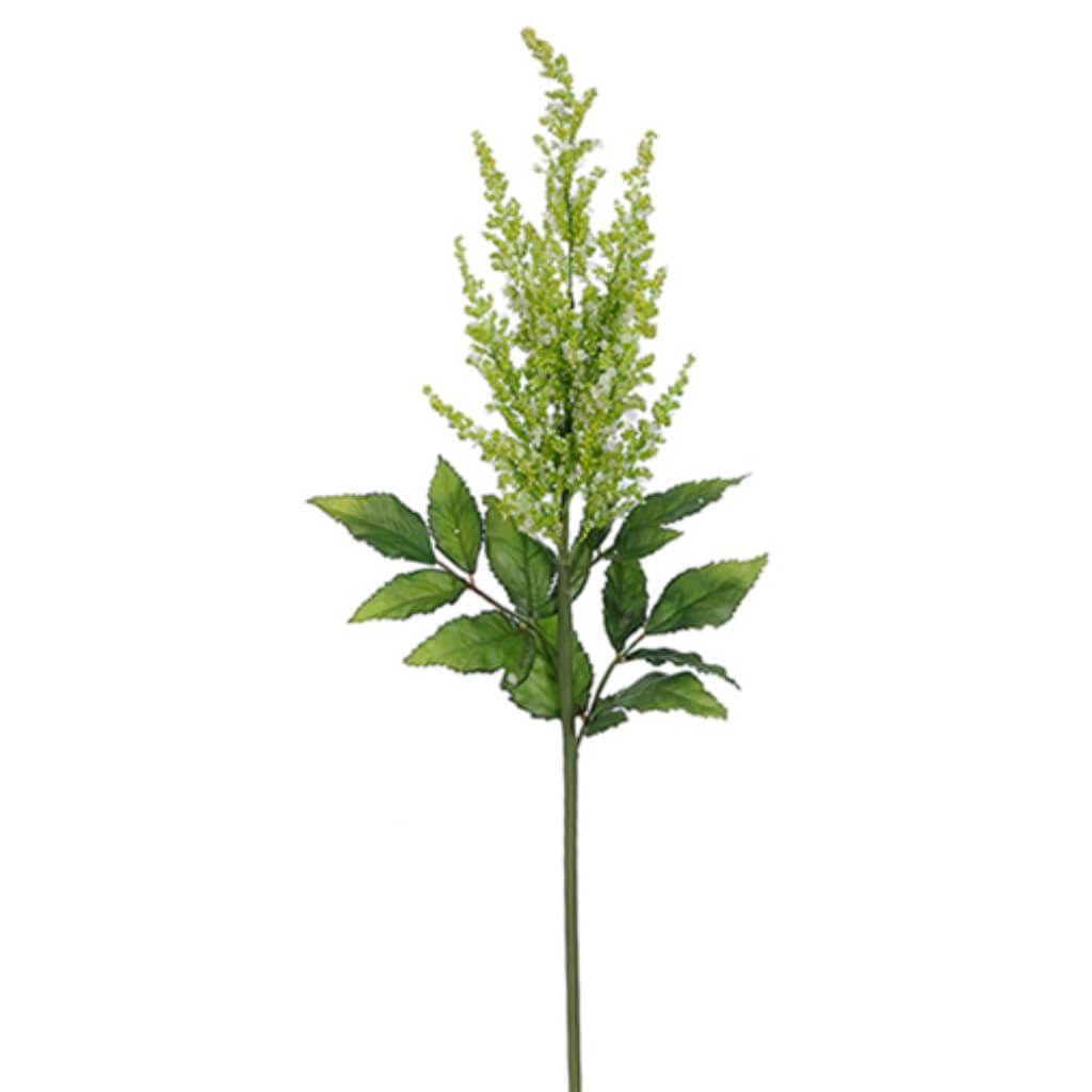 Astilbe Spray 31&quot; Green White 