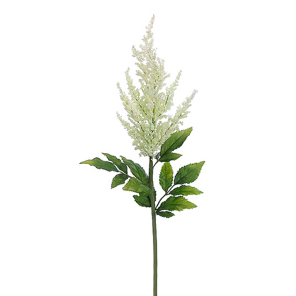 Astilbe Spray 31&quot; White 