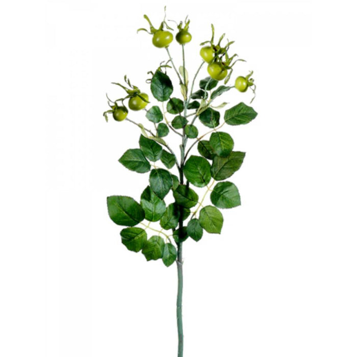 Rose Hip Spray 23" x3 Green 