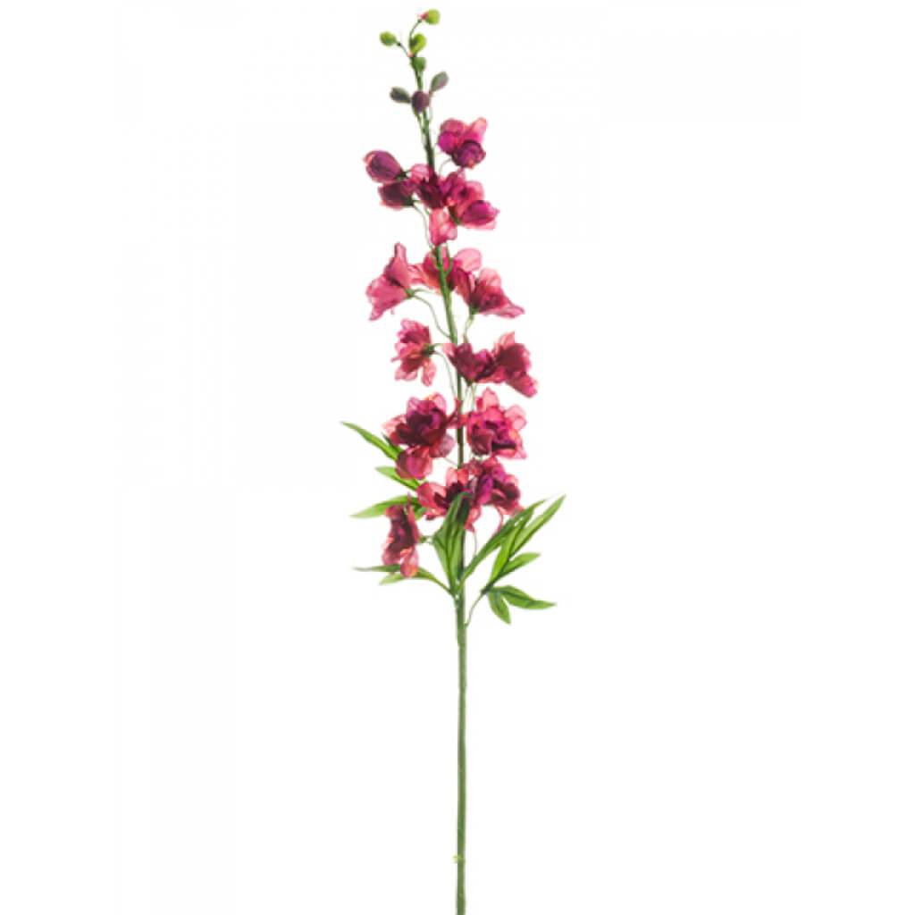 37"DELPHINIUM SPRAY BB 