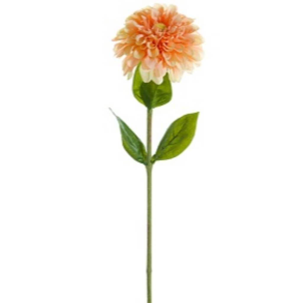 Dahlia Spray 29in Peach Cream 