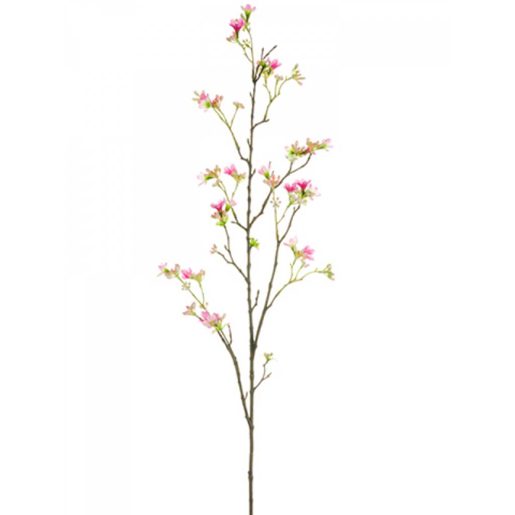 Heptacodium Spray 40" Cerise Pink 
