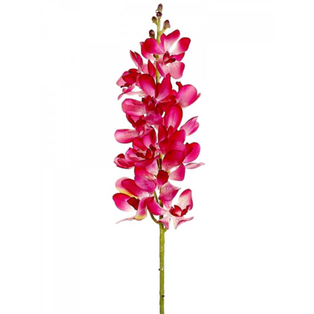 Vanda Orchid Spray Beauty 28in 