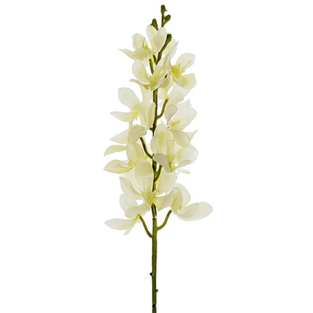 Vanda Orchid Spray 28&quot; Cream 