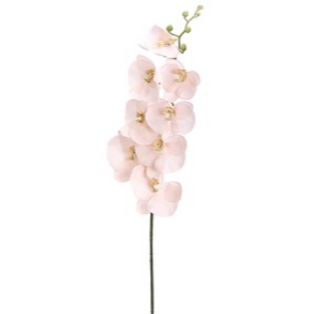 Rhinest.Phalaenopsis Spray 32" 