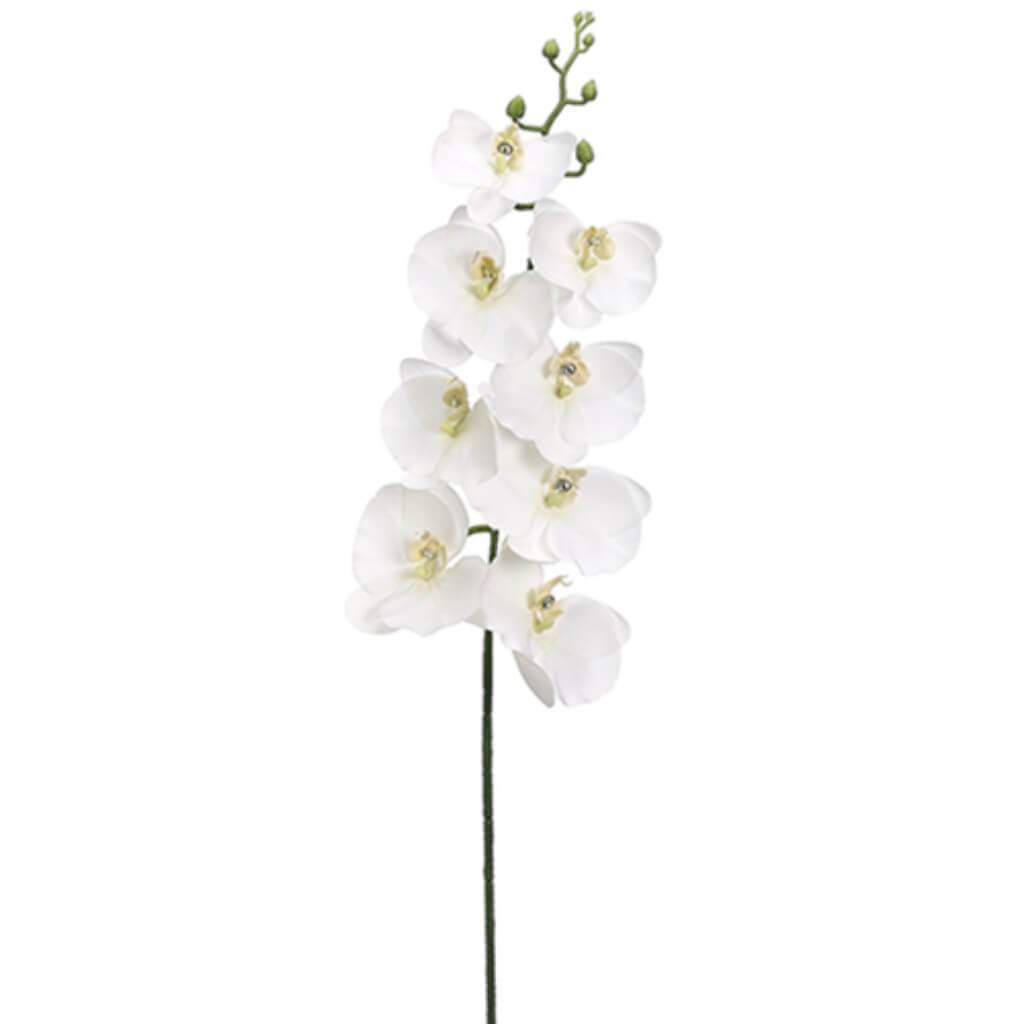 Phalaenopsis Orchid with Rhinestone Spray 32in White 