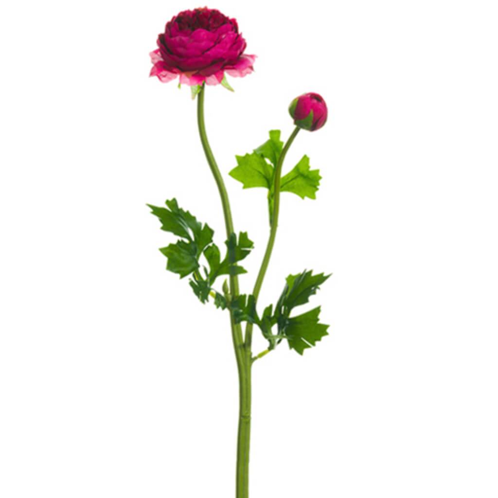 Ranunculus Spray Boysenberry 18.9" 