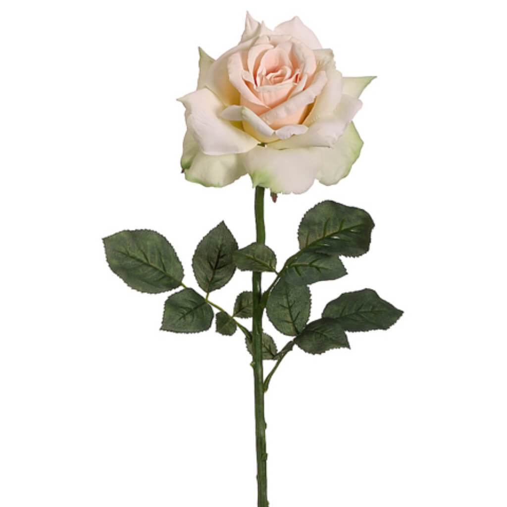 Diana Rose Spray 26" Apricot Green 