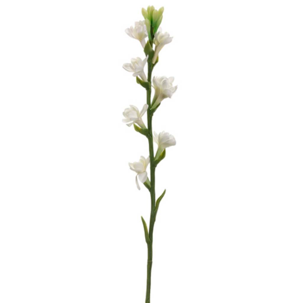 Tuberose Spray 33&quot; Cream 